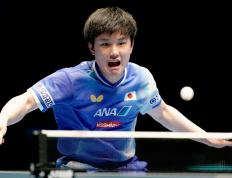 世俱杯分组-包含奥地利乒乓球队力克波兰乒乓球队，张本智和惊艳世界的词条