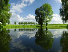 世俱杯直播-金玟哉，利物浦的芬兰礼物背后，那位沉默的亚洲送货员