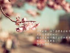 世俱杯参赛资格-当欧冠决赛哨声穿透篮球馆，独行侠在加时淬炼中重生