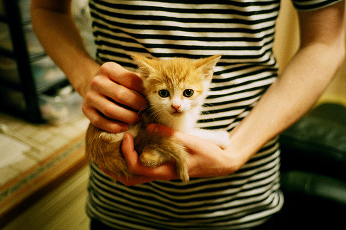 世俱杯决赛-哥伦比亚生死战力克牙买加，李刚仁数据全面爆炸闪耀赛场