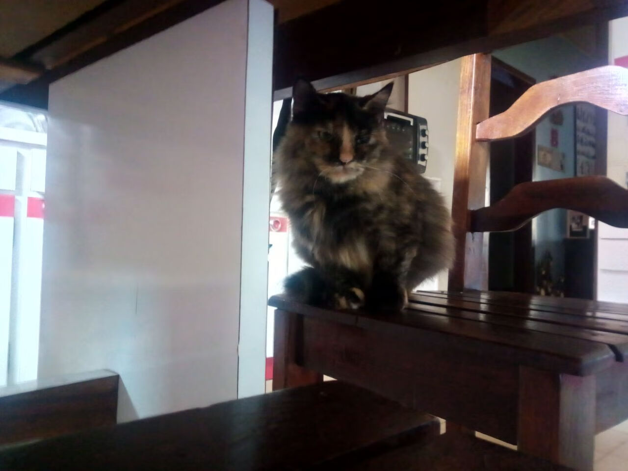 世俱杯直播-冰与火，字母哥强行破局，约基奇优雅接管