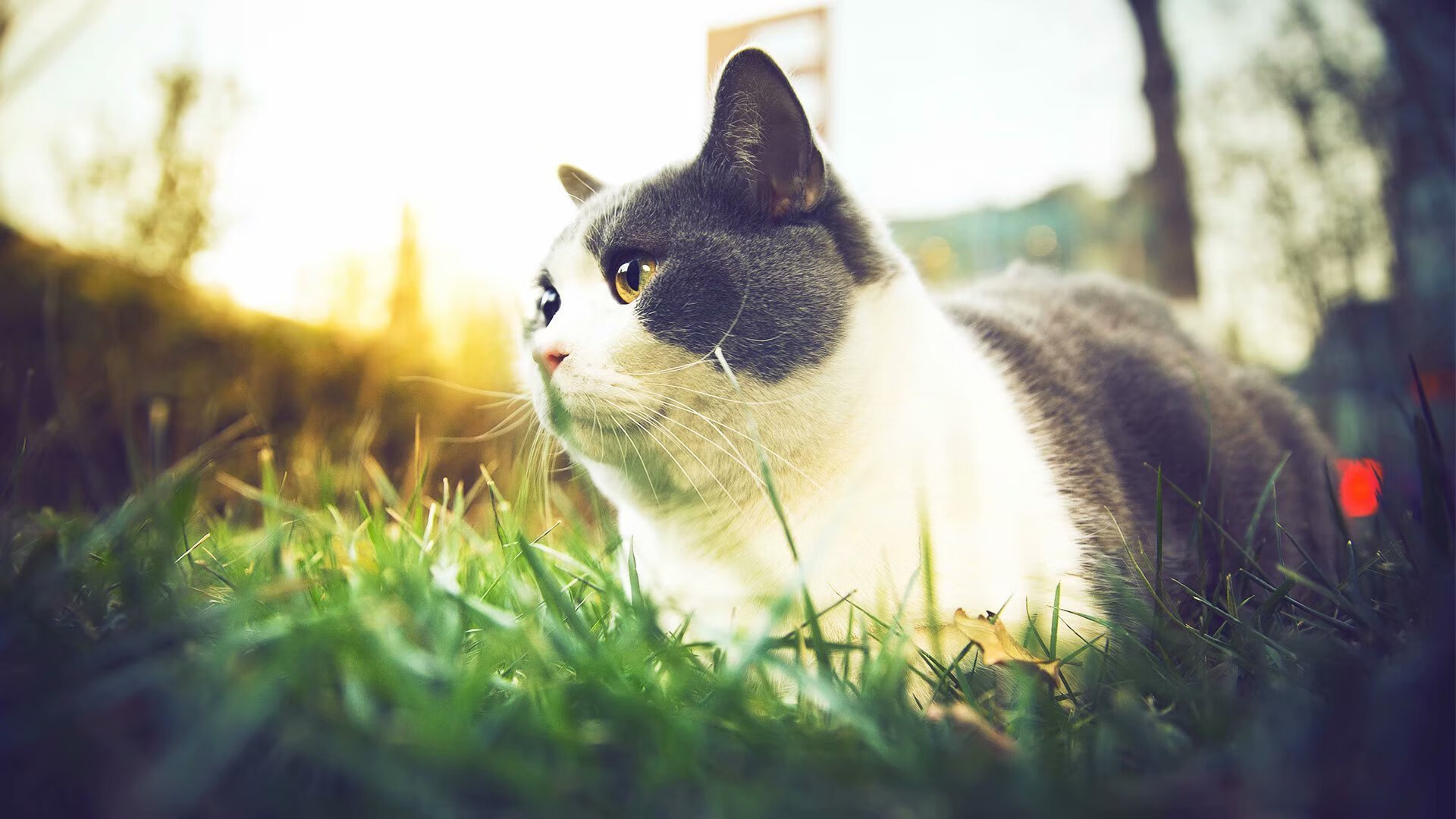 世俱杯决赛-绝杀时刻！萨内扮演关键先生，委内瑞拉压哨险胜牙买加