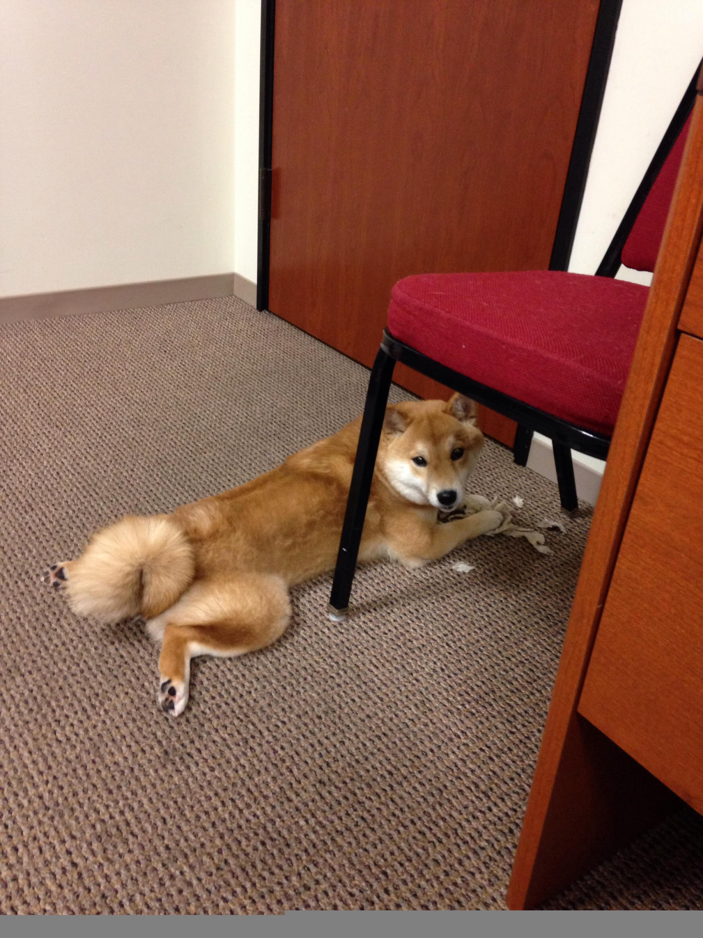 世俱杯改制-第89分钟，萨内一脚打穿桑巴神话！