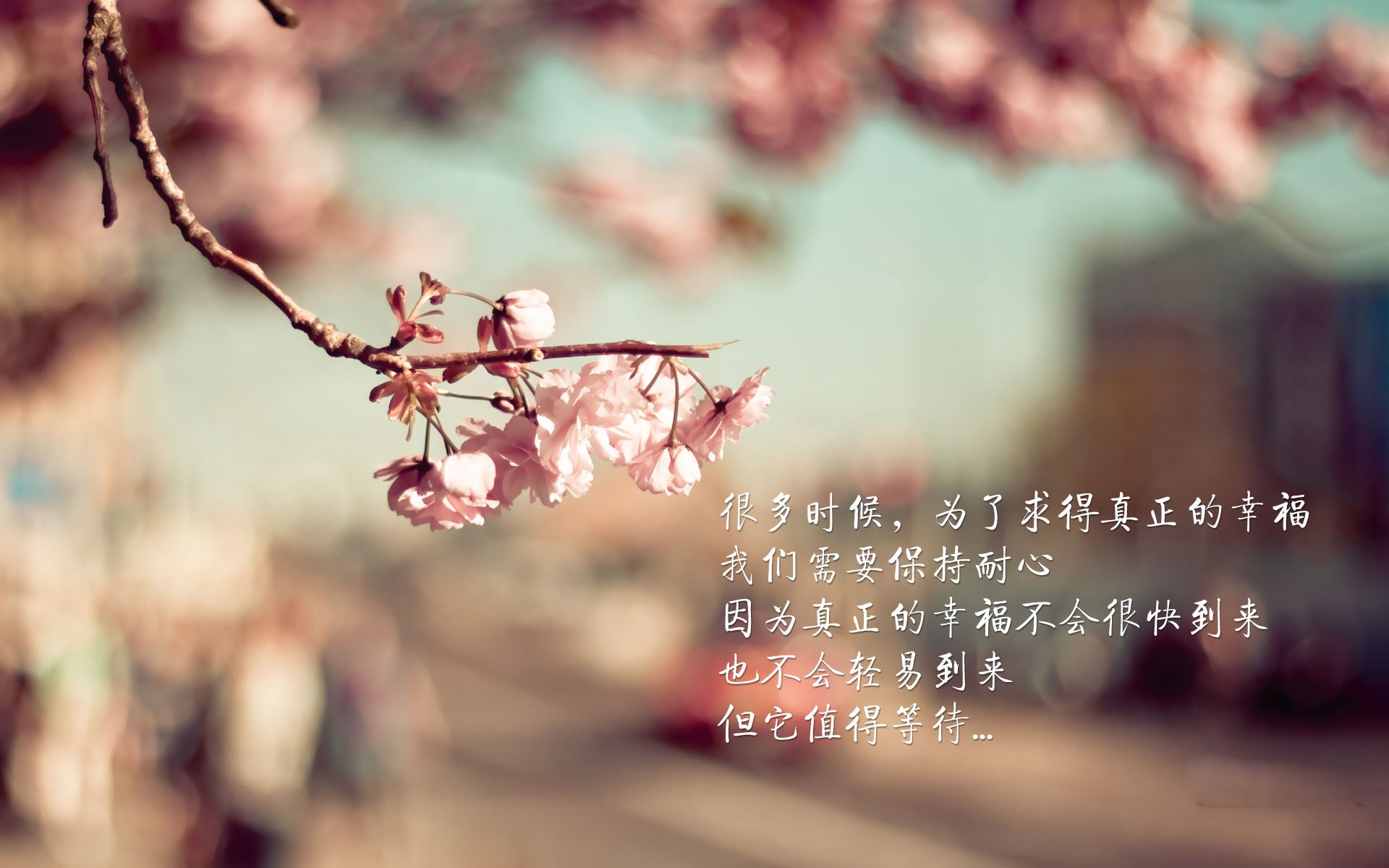 世俱杯参赛资格-当欧冠决赛哨声穿透篮球馆，独行侠在加时淬炼中重生