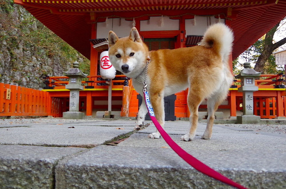 世俱杯2025-一舞定乾坤,欧冠决赛之夜,穆勒于无声处听惊雷