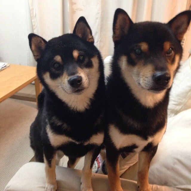 世俱杯直播-聚光灯下的战神，班凯罗舞台越大越强