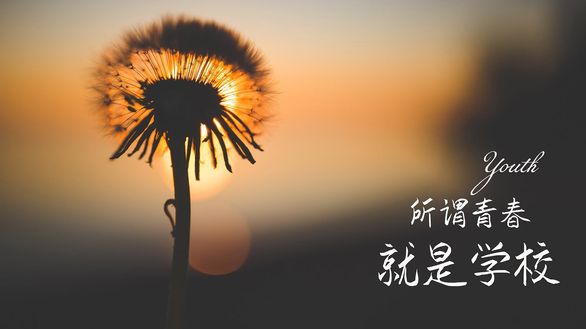 世俱杯决赛-2026世界杯C组强强对话,加纳横扫捷克,C罗闪耀全场,葡萄牙豪门暗藏危机?
